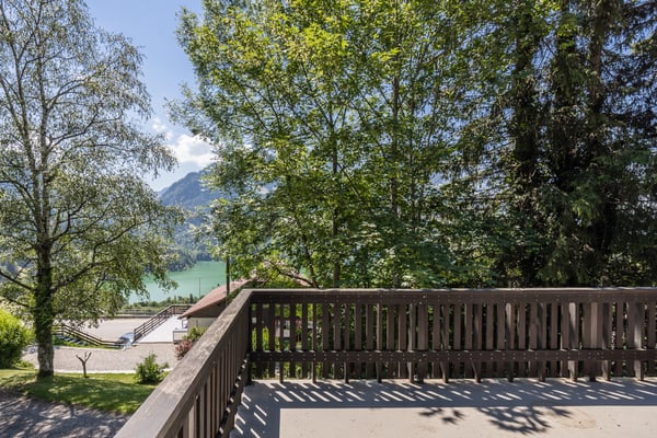 Chalet dans un écrin de verdure : situation et terrain d'exception 5