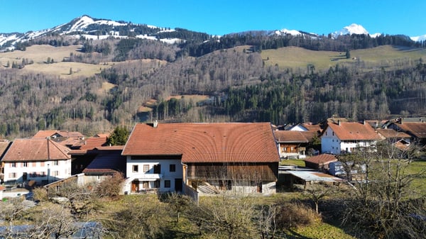 Appartement neuf de 3½ pièces, alliant modernité et patrimoine 2