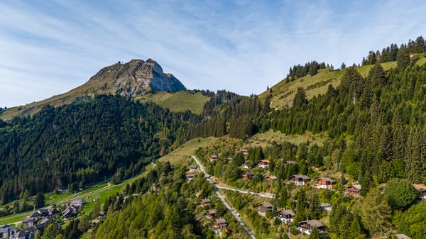 Une parenthèse de tranquillité en lisière de forêt et au pied du 1
