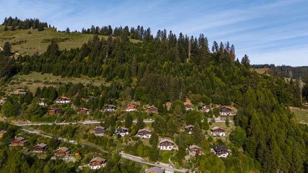 Une parenthèse de tranquillité en lisière de forêt et au pied du 2