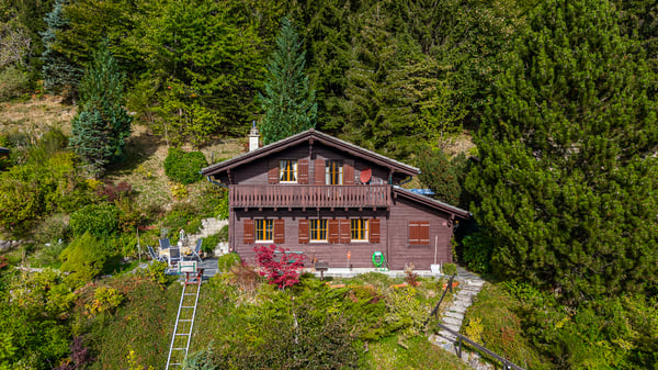 Une parenthèse de tranquillité en lisière de forêt et au pied du 3