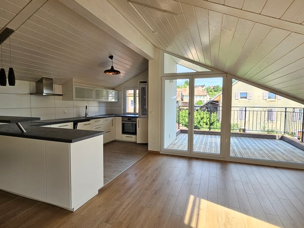 Appartement atypique avec terrasse au soleil couchant 4