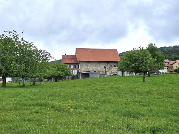 Maison villageoise et rural, env. 6'850 m3 4