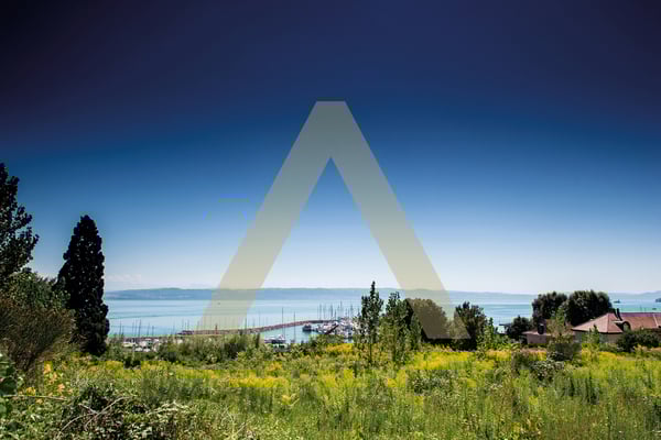 Immeuble de rendement entièrement loué 12