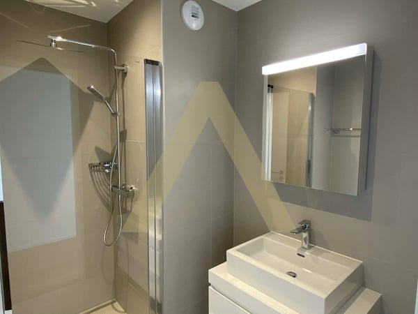 Immeuble de rendement entièrement loué 9