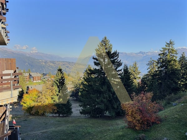 Restaurant au coeur du village d'Anzère 1