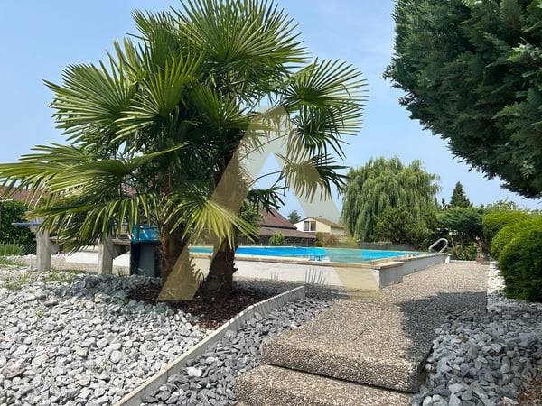 Charmante petite maison à deux pas du lac 11