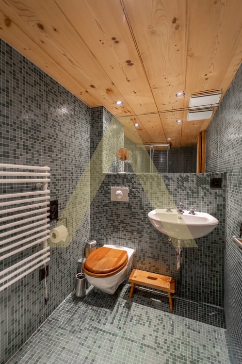 Propriété d'exception aux pieds des Portes du Soleil 13
