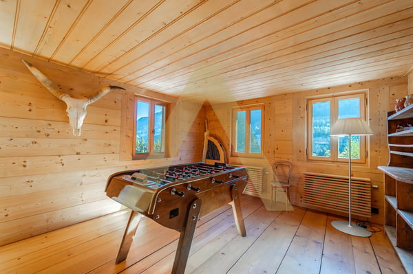 Propriété d'exception aux pieds des Portes du Soleil 5