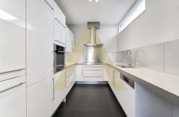 Duplex type loft avec grande terrasse et proche du lac 4