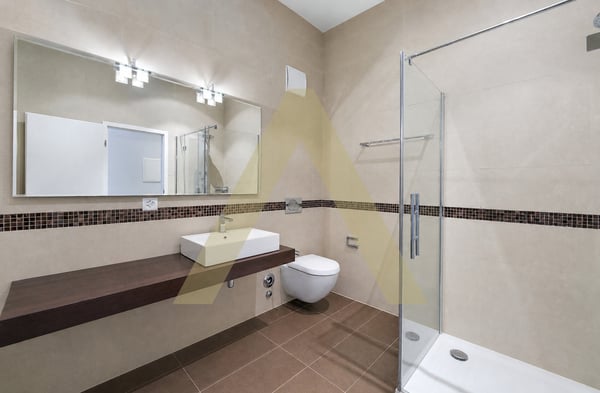Duplex type loft avec grande terrasse et proche du lac 9