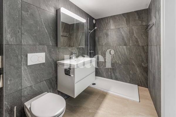 Appartement entièrement rénové de 4.5 pièces à vendre à Fétigny 7