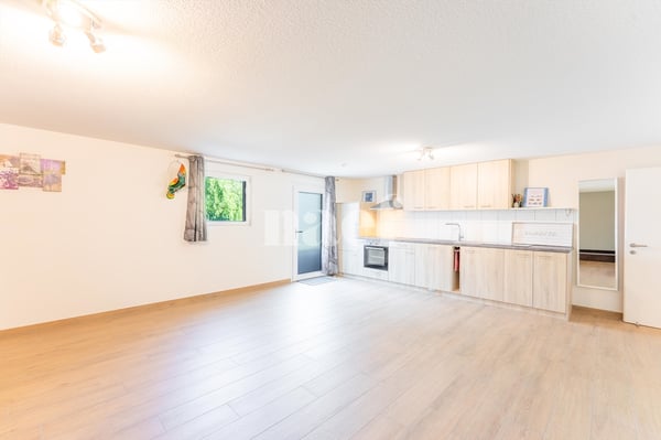 Lumineuse villa familiale de 5.5 pièces avec studio indépendant et spa 11