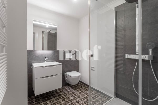 NEUF - appartement avec cachet de 2.5 pièces à louer à Avenches ! 5