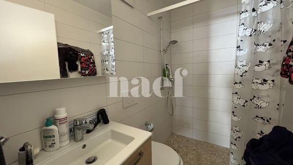 Appartement 4
