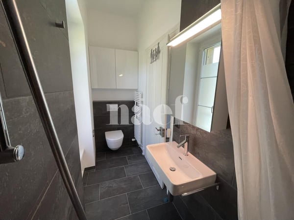 Magnifique appartement de 4.5 pièces dans un château à Villars-sur-Glâne ! 5