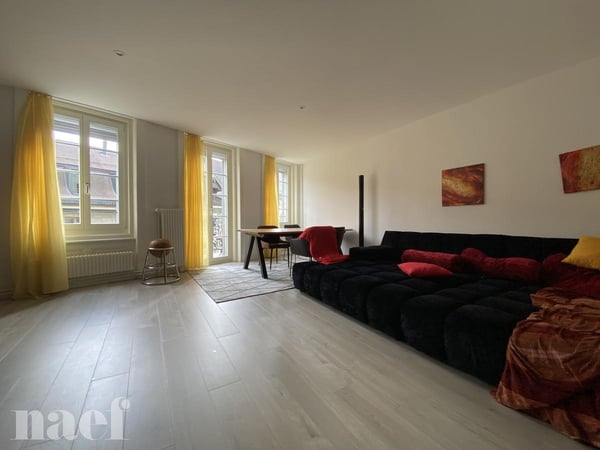 Appartement de 2,5 pièces au 3 ème étage, en pleine rue piétonne 3