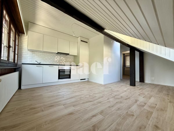 Bel appartement rénové et mansardé de 1.5 pièces au 1er étage à louer ! 3