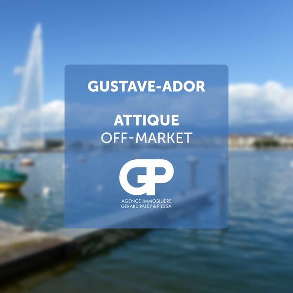 SPLENDIDE APPARTEMENT SUR LES QUAIS 17