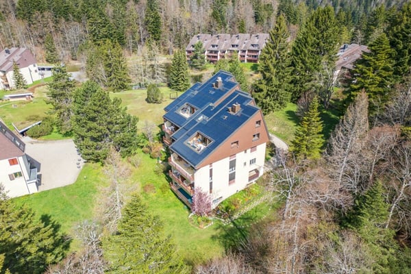 Duplex de 140 m² en dernier étage avec 3 chambres, terrasse et forêt 4