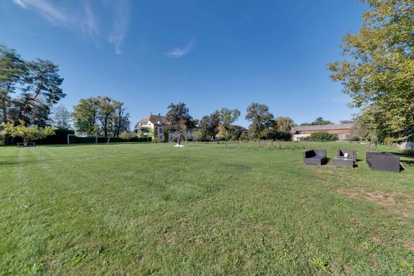 Maison de maître à Vanduvres sur une parcelle de plus de 10'000m2 7