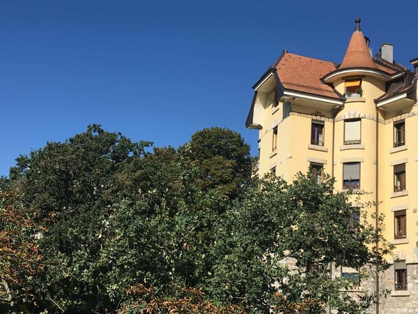 En exclusivité :                                                                                                                                            Duplex avec vue sur le Rhône 3