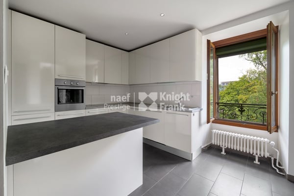 Rare : maison de maître rénovée, 3 appartements ou villa familiale 8