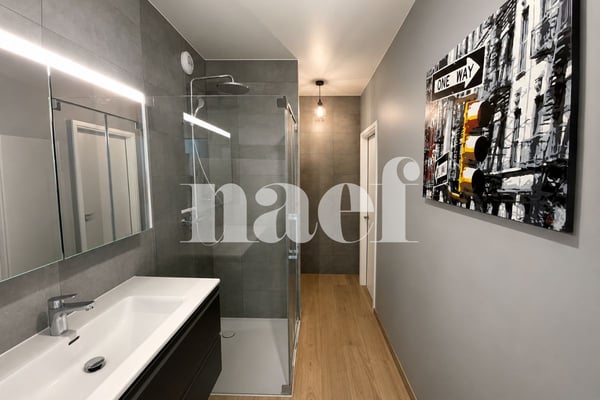 Appartement en attique de 3 pièces avec terrasse et vue dégagée 6