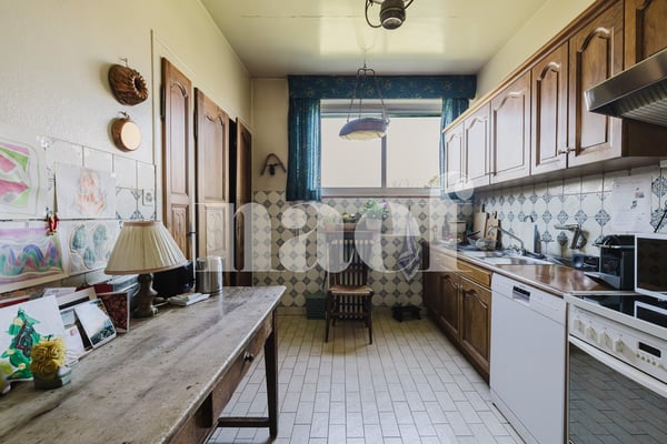Élégante villa de maître au charme authentique au Grand-Saconnex 6