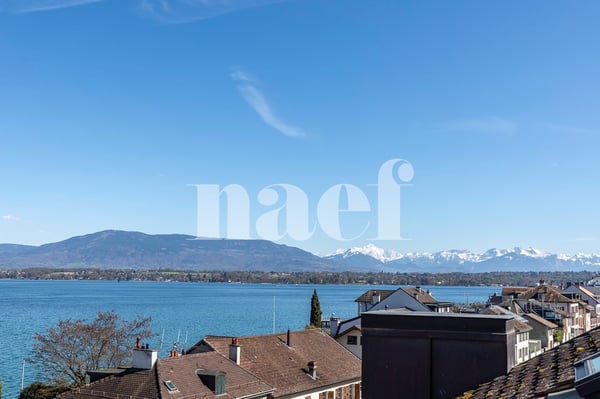 3,5 pièces rénové avec vue imprenable sur le lac 11