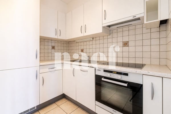 Petit-Saconnex - Appartement lumineux avec vue dégagée à deux pas des organisations Internationales 3