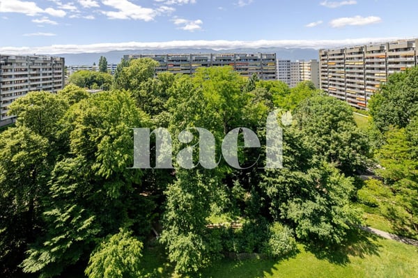 Petit-Saconnex - Appartement lumineux avec vue dégagée à deux pas des organisations Internationales 10
