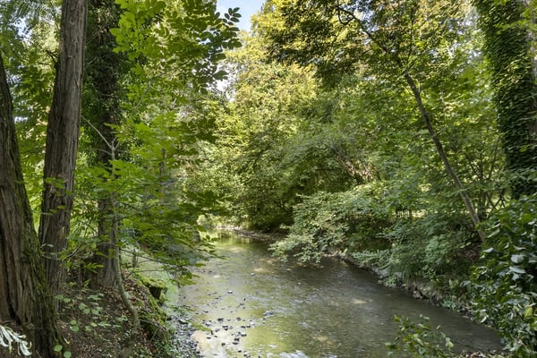Charmante villa au bord de l'Aire - vente avec usufruit 12