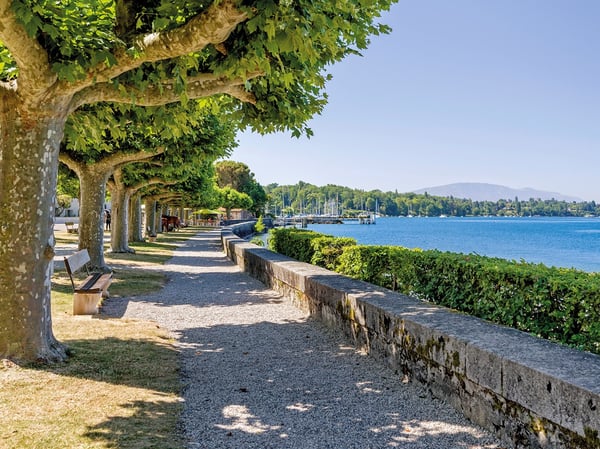 Moderne rez-de-jardin avec superbe vue lac. 2