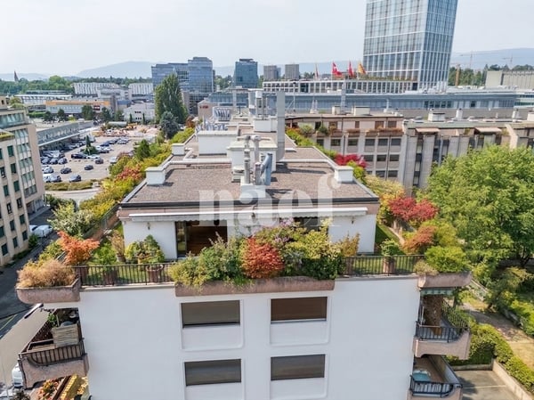 Bel attique avec terrasse au coeur de Carouge 11
