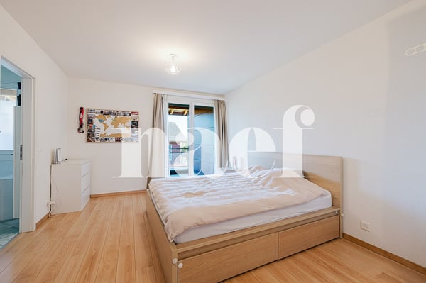 Charmante villa mitoyenne 230 m² utiles plus jardin, terrasse et garage double à Vernier 6