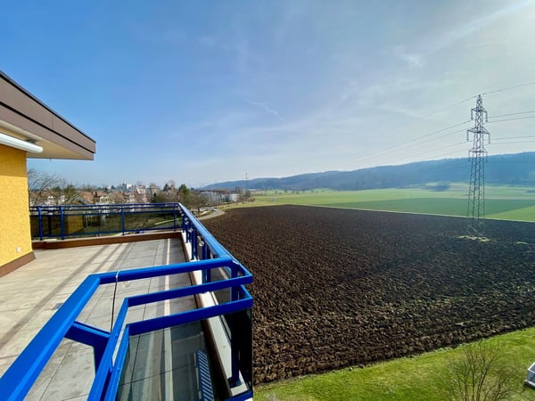 Sonnige 2.5-Zimmer-Wohnung mit Terrasse in Dübendorf #5151 7