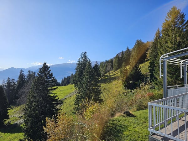 Liegenschaft in ausserordentlicher ruhiger Lage mitten in der Natur mit gut gepflegtem Baubestand 3