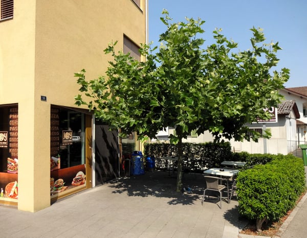 Zentral gelegener Imbiss oder Kebap unmittelbar neben dem Bahnhof in Menziken / AG 2