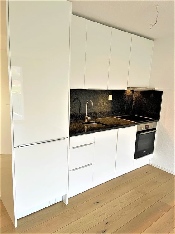PREISWERTE - MODERNE 3.5 ZI- WHG IM RUHIGEN WOHNQUARTIER 2