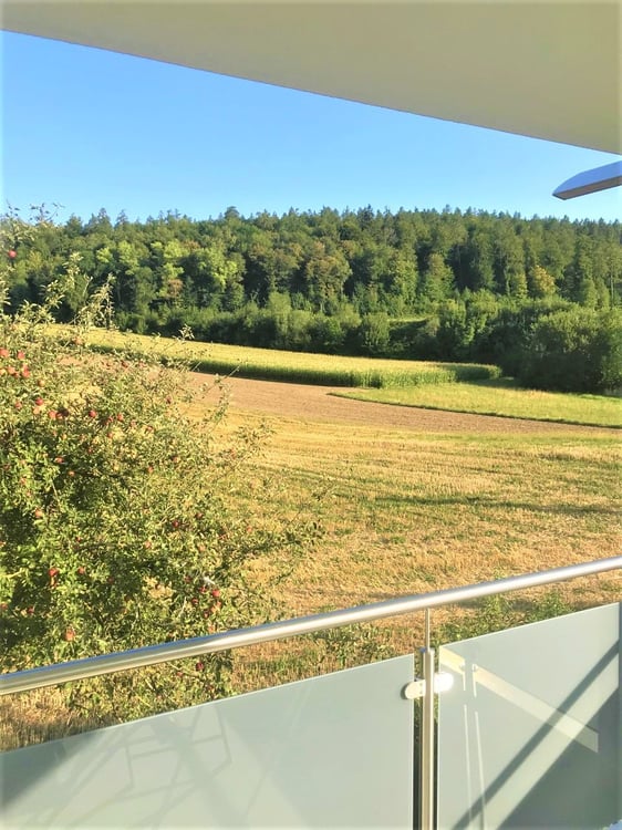 PREISWERTE - MODERNE 3.5 ZI- WHG IM RUHIGEN WOHNQUARTIER 13