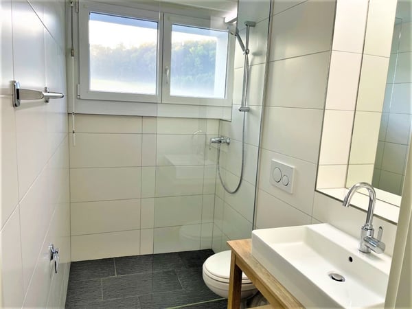 PREISWERTE - MODERNE 3.5 ZI- WHG IM RUHIGEN WOHNQUARTIER 8