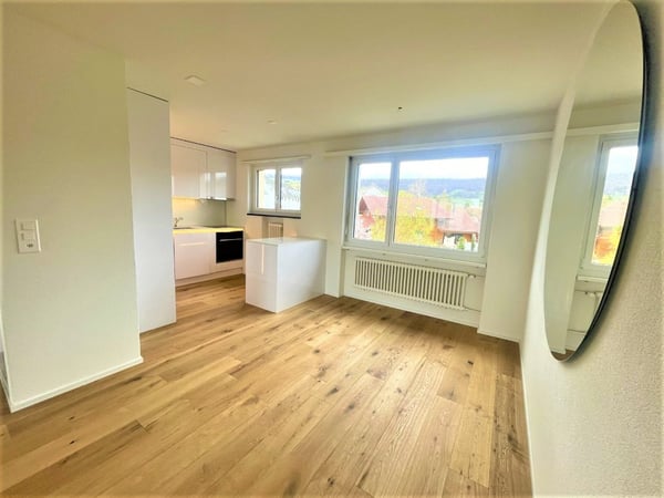 Charmante 1.5-Zimmer-Wohnung in ruhiger Lage von Erlinsbach 7