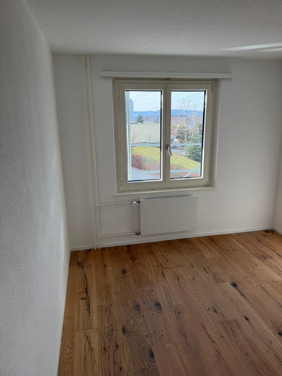 Charmante 1.5-Zimmer-Wohnung mit Balkon und Garage in Luzern 4