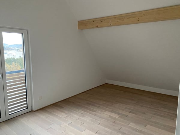 Neue 1.5 Zimmer-Attika-Wohnung toller Aussicht 3