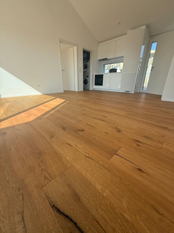 Tolle 2.5 Zimmer Attika-Wohnungen an erstklassiger Lage 4