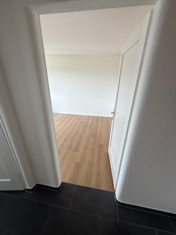 Charmante 1-Zimmer-Dachwohnung mit Aussicht in Luzern-Reussbühl 5