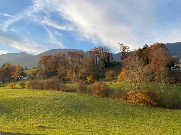 Exklusive Attikawohnung mit grosser Terrasse und Weitsicht 20