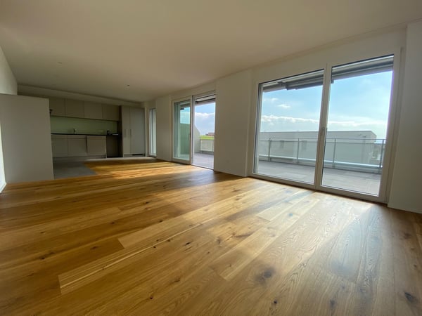 Exklusive Attikawohnung mit grosser Terrasse und Weitsicht 7