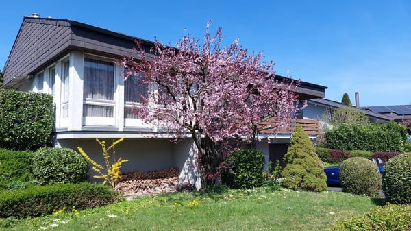 Renovationsbedürftiges Einfamilienhaus mit Potenzial 1